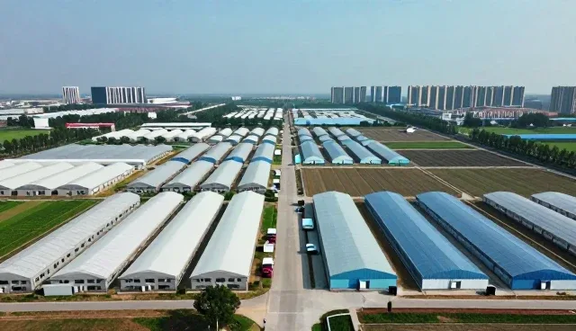 智能设备选型中的应用场景分析与技术适配策略